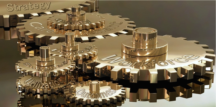 Healthcare wheel of integrated cogs